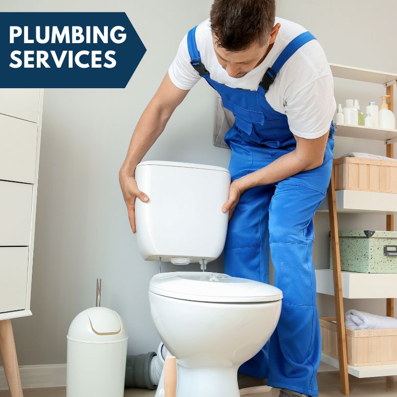 Plumbing Company in Mineral, IL